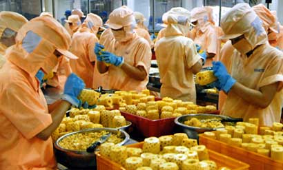 صادرات میوه